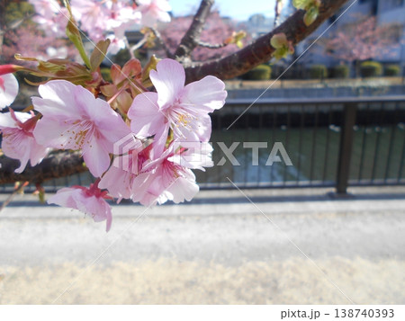 木場公園その1 木場公園その1 138740393