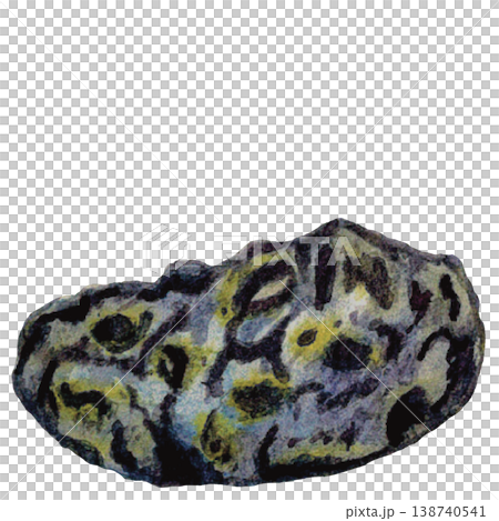 Textured Marine Rock Study Textured Marine Rock Study 138740541