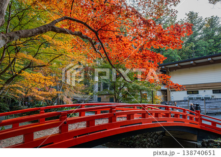 森町の遠江国一宮小國神社の紅葉の風景(静岡県) 森町の遠江国一宮小國神社の紅葉の風景(静岡県) 138740651