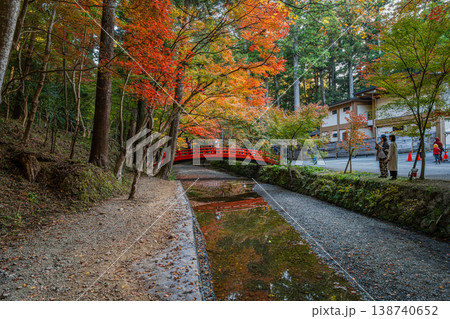 森町の遠江国一宮小國神社の紅葉の風景(静岡県) 138740652