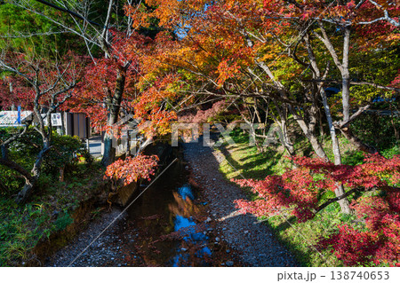 森町の遠江国一宮小國神社の紅葉の風景(静岡県) 森町の遠江国一宮小國神社の紅葉の風景(静岡県) 138740653