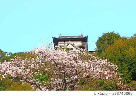 愛知県犬山市、犬山城と桜の風景 愛知県犬山市、犬山城と桜の風景 138740895