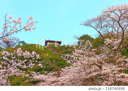 愛知県犬山市、犬山城と桜の風景 愛知県犬山市、犬山城と桜の風景 138740898