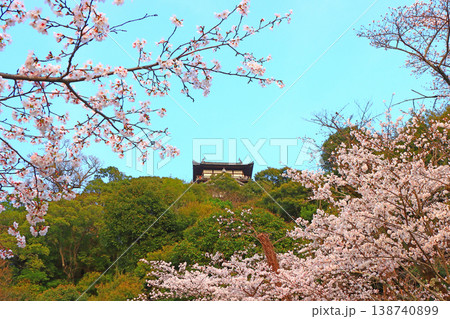 愛知県犬山市、犬山城と桜の風景 138740899