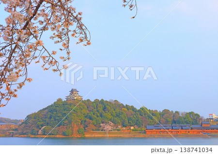 愛知県犬山市、犬山城と桜の風景 愛知県犬山市、犬山城と桜の風景 138741034