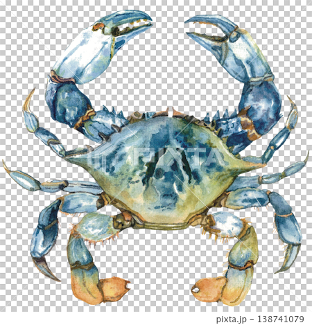 Blue Crab Isolated on Black Background Sea Life Blue Crab Isolated on Black Background Sea Life 138741079
