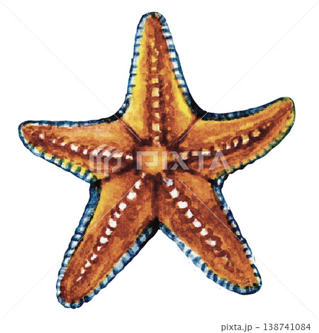 Starfish Isolated on Black Background  Sea Life Image 138741084