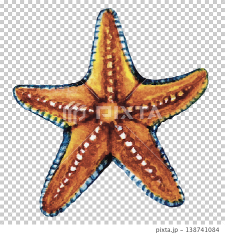 Starfish Isolated on Black Background Sea Life Image Starfish Isolated on Black Background Sea Life Image 138741084