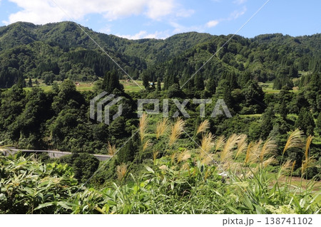 国道353号線沿いの風景・新潟県十日町市葎沢地内 138741102