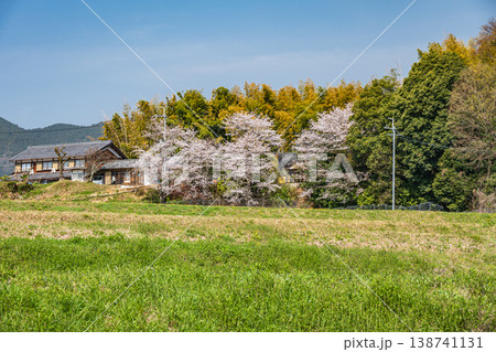 春の田園風景　滋賀県大津市仰木 138741131