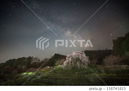 桜 桜 138741823