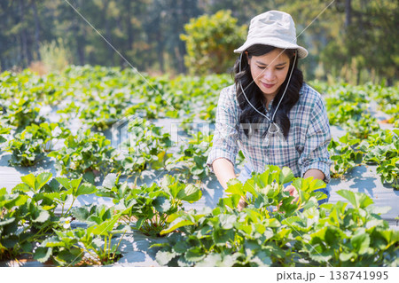 Young woman smiles gently among strawberry plants 138741995