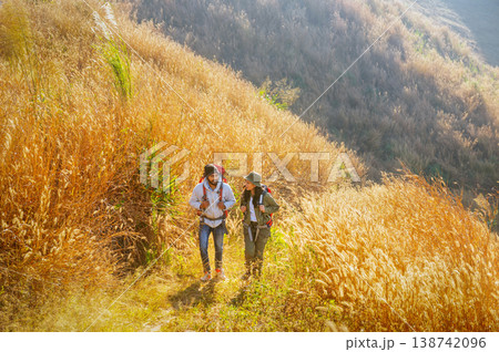 Golden grasses stretch across sunlit hillsides 138742096
