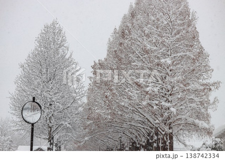 雪降る森 雪降る森 138742334