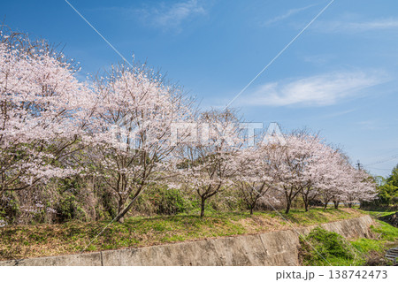 滋賀県大津市仰木の春景色 滋賀県大津市仰木の春景色 138742473