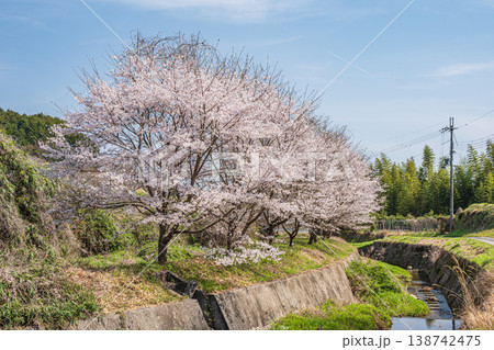 滋賀県大津市仰木の春景色 138742475