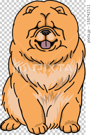 鬆獅犬彩色插圖 鬆獅犬彩色插圖 138742511