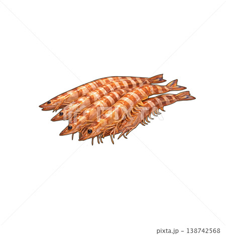 クルマエビ 138742568