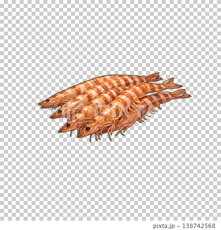 クルマエビ 138742568