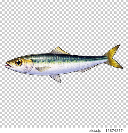沙丁魚 138742574