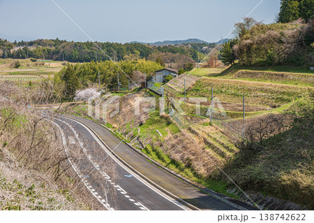大津市仰木の田園地帯を通る県道47号線　滋賀県 138742622