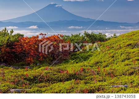 初秋の金峰山稜線の草紅葉と雲上の富士山 138743058