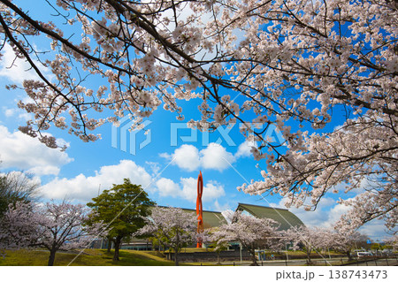 満開の桜が咲く音楽堂の風景 満開の桜が咲く音楽堂の風景 138743473