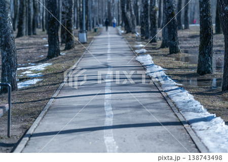 Serene frozen pathway bordered by delicate birch trees and distant blue sky. Quiet winter setting with snowladen trail and narrow line of birch trees extending into horizon 138743498