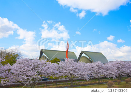 満開の桜が咲く音楽堂の風景 138743505