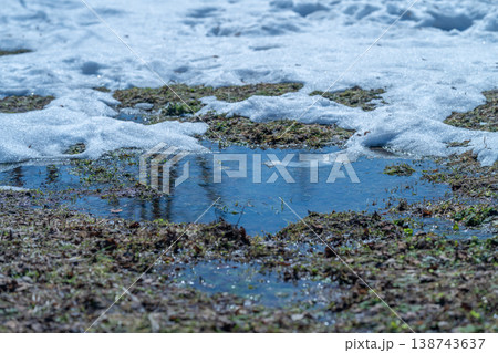 Frozen water reflections. Shallow puddle reflecting bare trees and bright blue day. Gentle meltwater collection captures delicate icy crystals amidst moss and clear sky 138743637