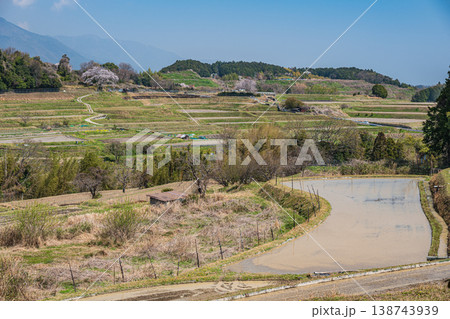 滋賀県大津市仰木　春の棚田風景 138743939