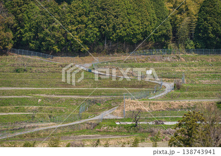 滋賀県大津市仰木　春の棚田風景 138743941