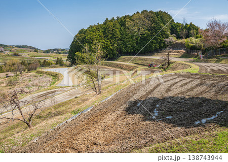 滋賀県大津市仰木 春の棚田風景 滋賀県大津市仰木 春の棚田風景 138743944