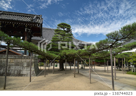 本願寺旧跡 堅田本坊 本福寺 本願寺旧跡 堅田本坊 本福寺 138744023