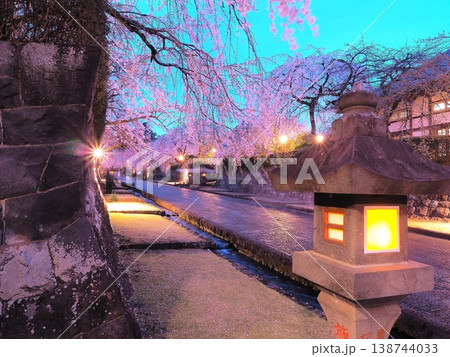 静岡県 大石寺 満開の枝垂れ桜の夜景 3月 静岡県 大石寺 満開の枝垂れ桜の夜景 3月 138744033