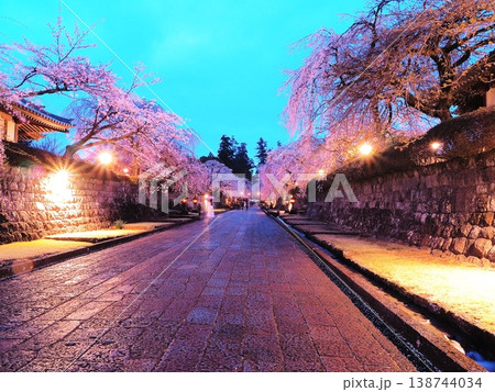 静岡県　大石寺　ライトアップされた満開の枝垂れ桜の参道　3月 138744034