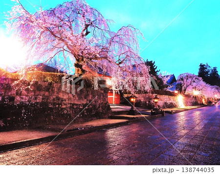 静岡県　大石寺の枝垂れ桜　夜景　3月 138744035