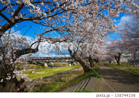 青空に映える満開の桜 138744156