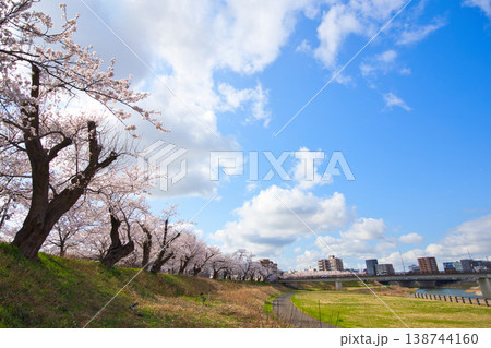 青空に映える満開の桜 138744160