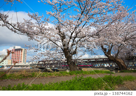 青空に映える満開の桜 青空に映える満開の桜 138744162