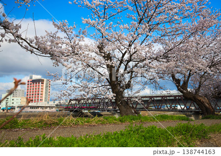 青空に映える満開の桜 青空に映える満開の桜 138744163