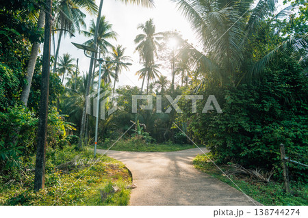 Empty concrete road path through lush tropical coconut palm tree forest Empty concrete road path through lush tropical coconut palm tree forest 138744274