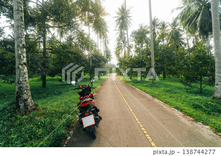 Traveler riding a scooter on a quiet road through a tropical palm forest. 138744277
