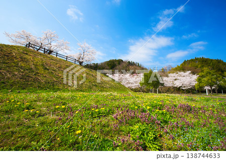 さくらの季節 138744633