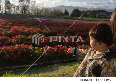 花の咲く花畑を指差す子供 花の咲く花畑を指差す子供 138744691