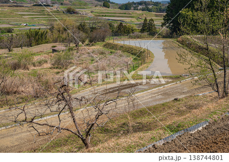 滋賀県大津市仰木 春の棚田風景 滋賀県大津市仰木 春の棚田風景 138744801