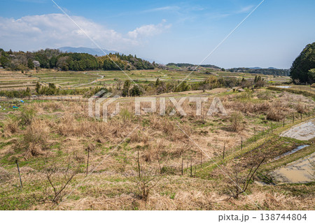 滋賀県大津市仰木　春の棚田風景 138744804