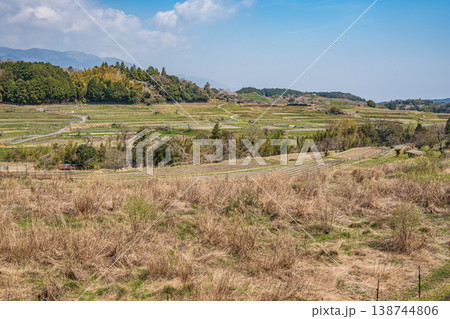 滋賀県大津市仰木　春の棚田風景 138744806