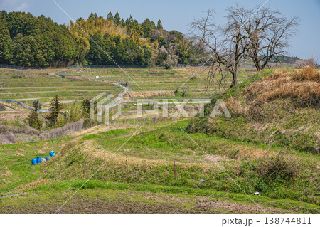 滋賀県大津市仰木　春の棚田風景 138744811