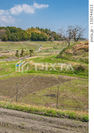 滋賀県大津市仰木 春の棚田風景 滋賀県大津市仰木 春の棚田風景 138744813